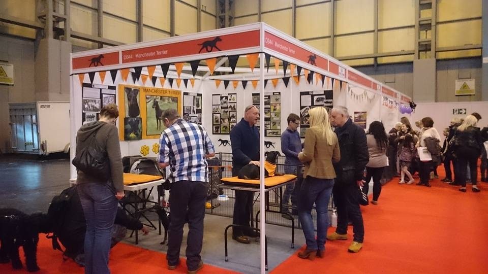 Manchester Terriers at the NEC