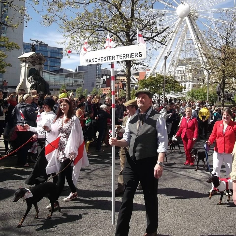 Manchester Terriers at the St Georges Day Parade